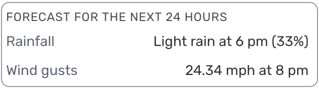 web_Next_24_hours.png